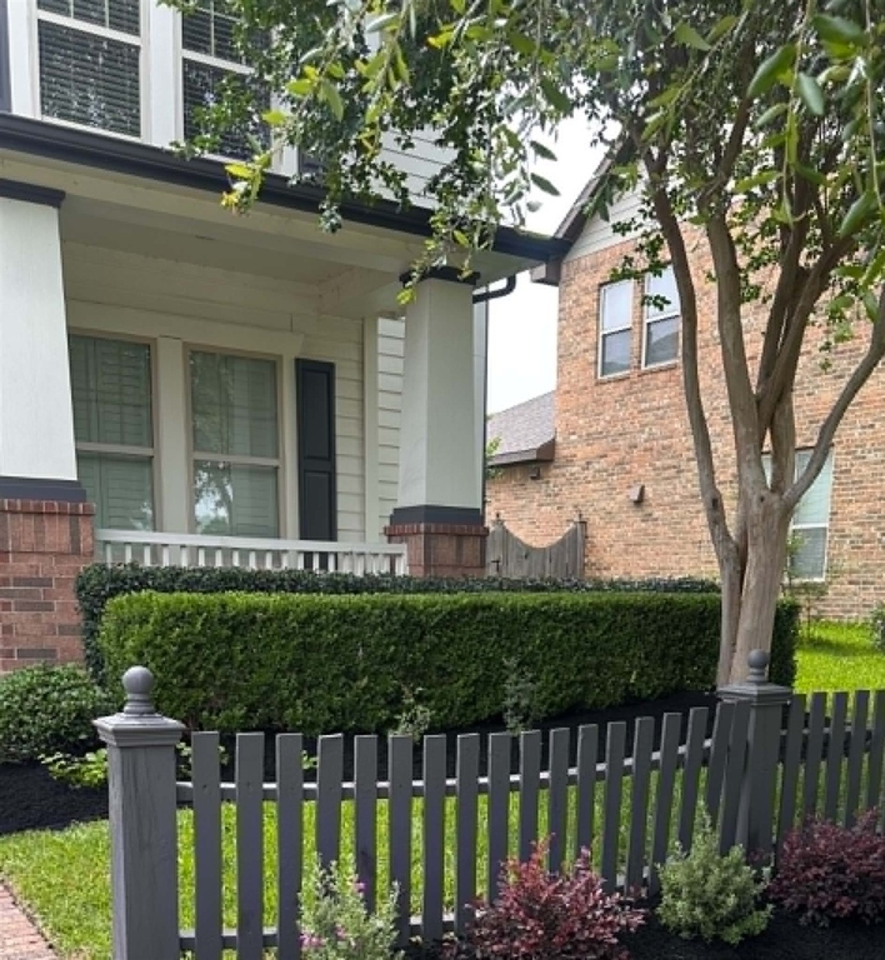 Trimmed hedges in a mulched bed