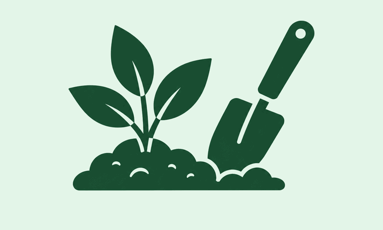 Garden and planting